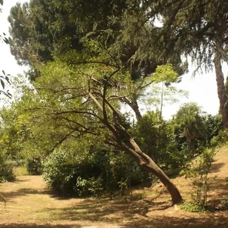 Valeria Versilia